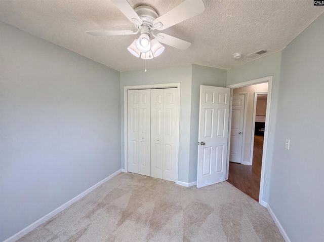 3 Summer Branch Court, Irmo, SC 29063