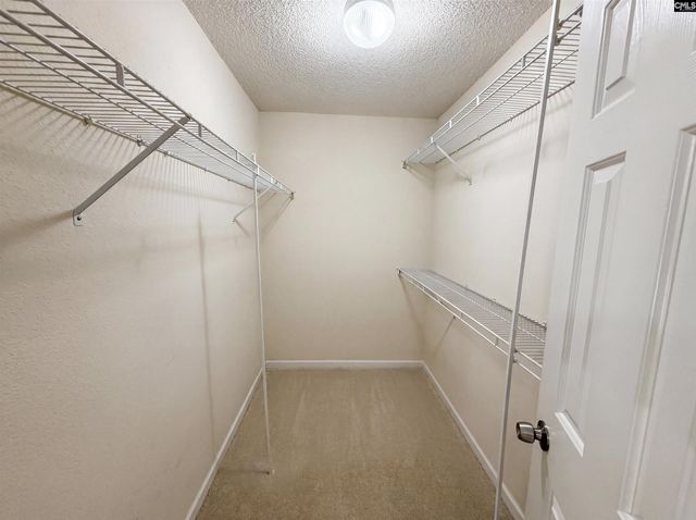 3 Summer Branch Court, Irmo, SC 29063