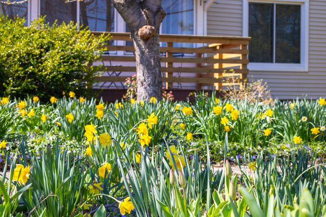 501 N Elm Street, Three Oaks Vllg, MI 49128