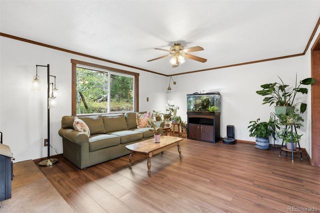 19133 Silver Ranch Road, Conifer, CO 80433