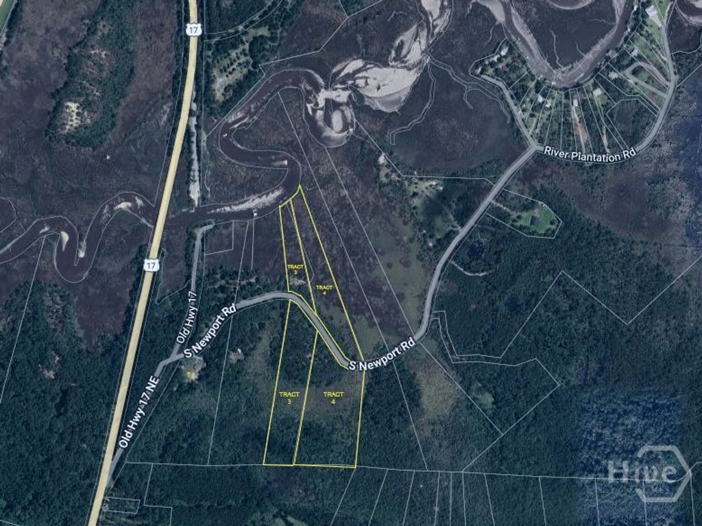 Image 46 of property listing at Tract 3 & 4 S Newport Drive NE, Townsend, GA 31331
