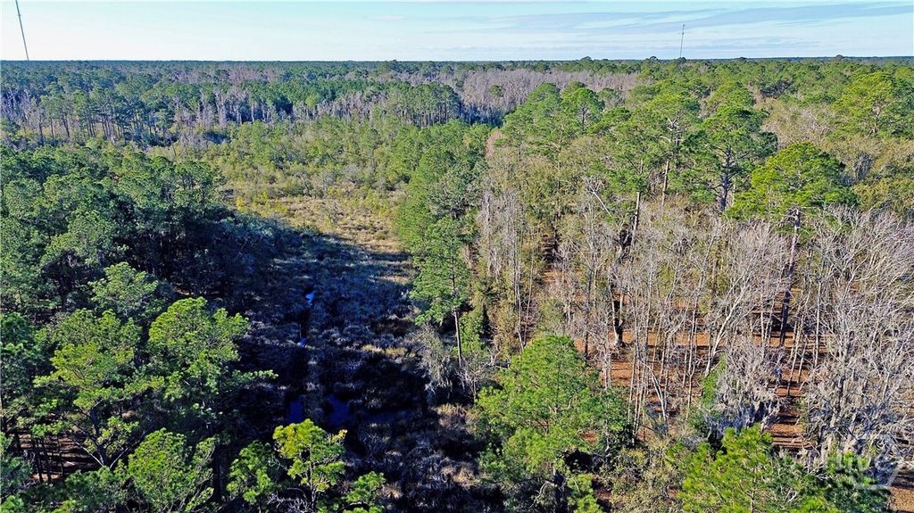 Image 47 of property listing at Tract 3 & 4 S Newport Drive NE, Townsend, GA 31331