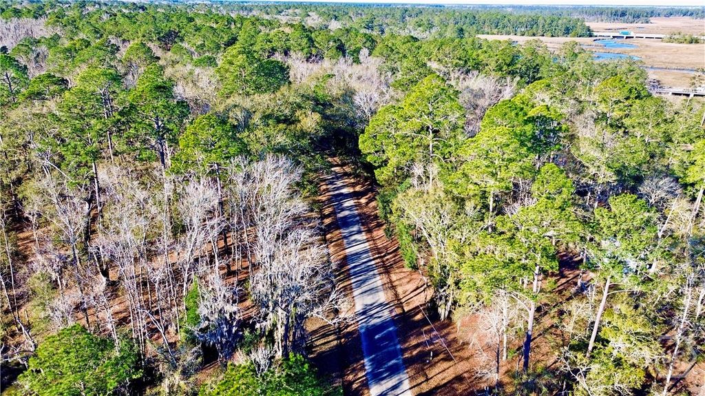 Image 50 of property listing at Tract 3 & 4 S Newport Drive NE, Townsend, GA 31331