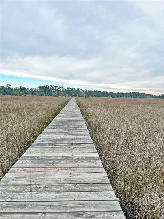 Image 52 of property listing at Tract 3 & 4 S Newport Drive NE, Townsend, GA 31331