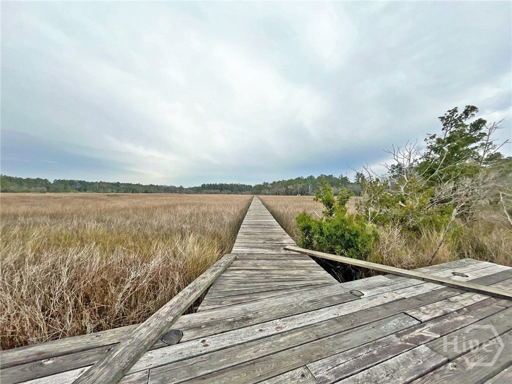 Image 53 of property listing at Tract 3 & 4 S Newport Drive NE, Townsend, GA 31331