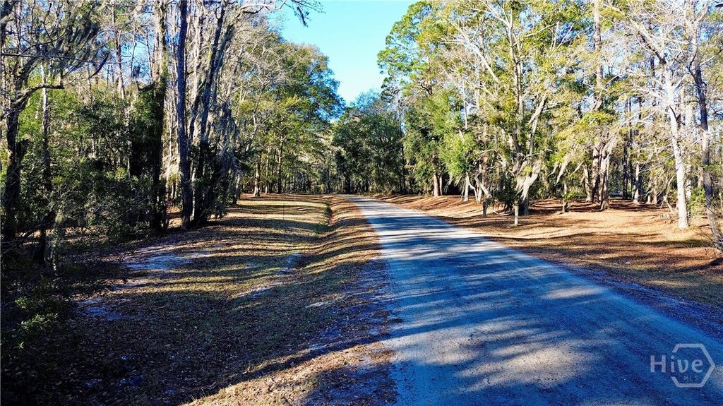 Image 9 of property listing at Tract 3 & 4 S Newport Drive NE, Townsend, GA 31331