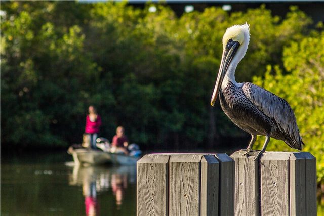 605 Timber Ridge Trail SW 102, Vero Beach, FL 32962