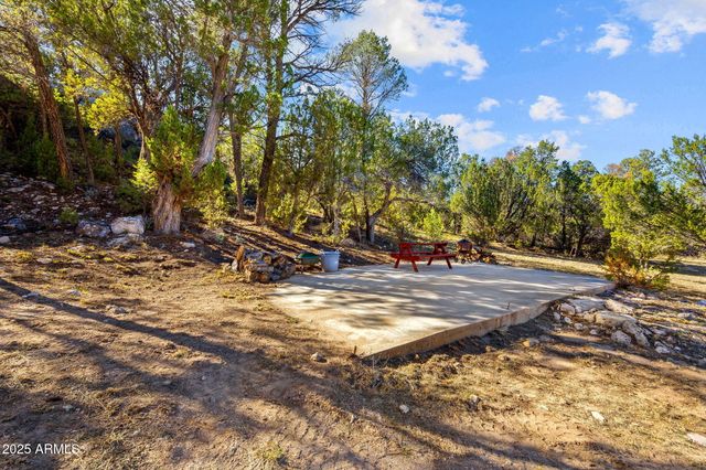 3684 DIAMONDBACK Drive, Overgaard, AZ 85933