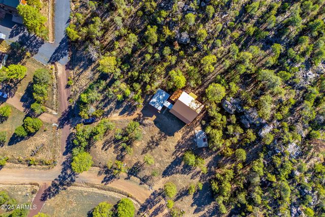 3684 DIAMONDBACK Drive, Overgaard, AZ 85933