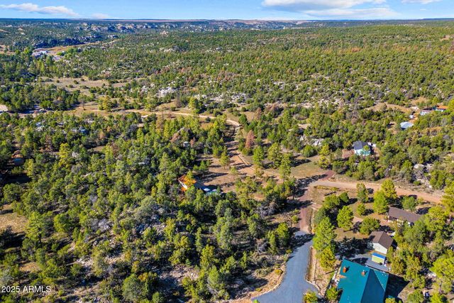 3684 DIAMONDBACK Drive, Overgaard, AZ 85933