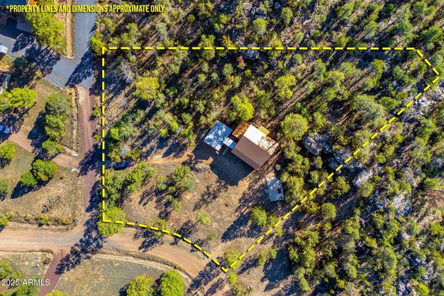 3684 DIAMONDBACK Drive, Overgaard, AZ 85933