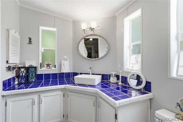 11065 W Townsend Lane, Homosassa, FL 34448