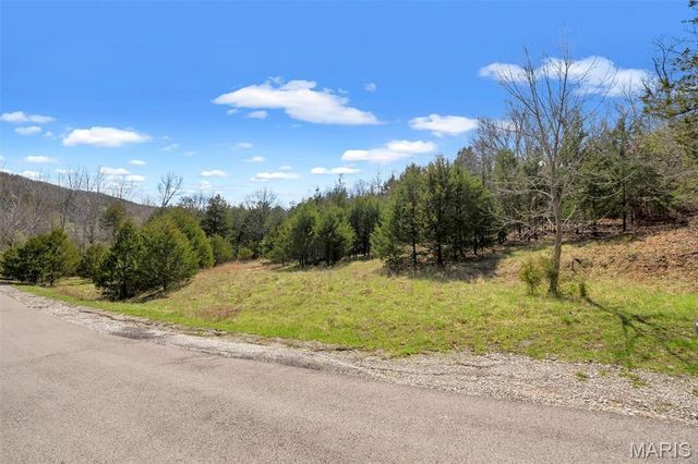 Lot 1 Freeman, Pacific, MO 63069