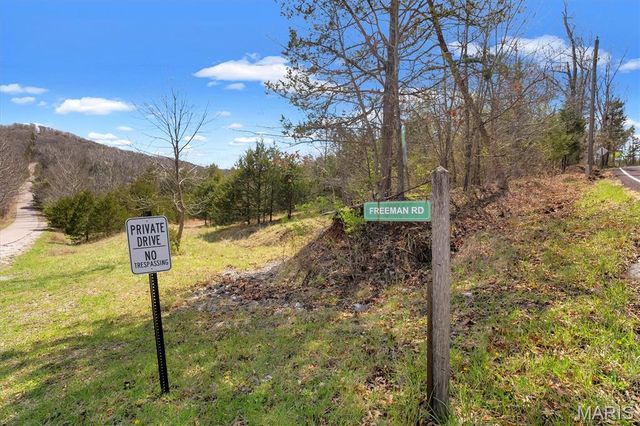 Lot 1 Freeman, Pacific, MO 63069