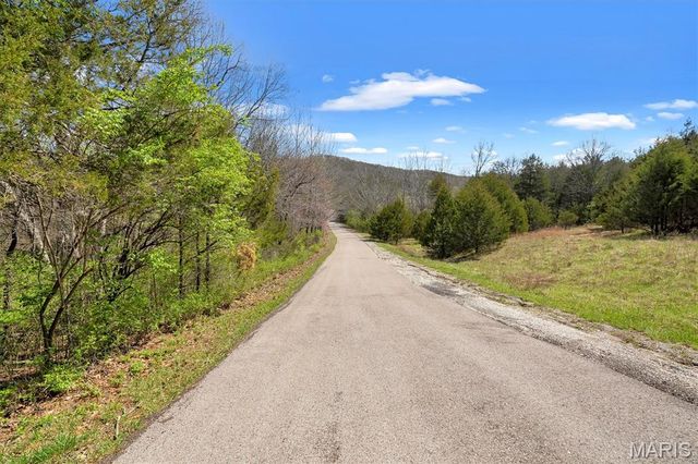 Lot 1 Freeman, Pacific, MO 63069