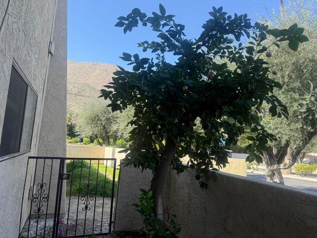 2160 S Palm Canyon Drive 7, Palm Springs, CA 92264