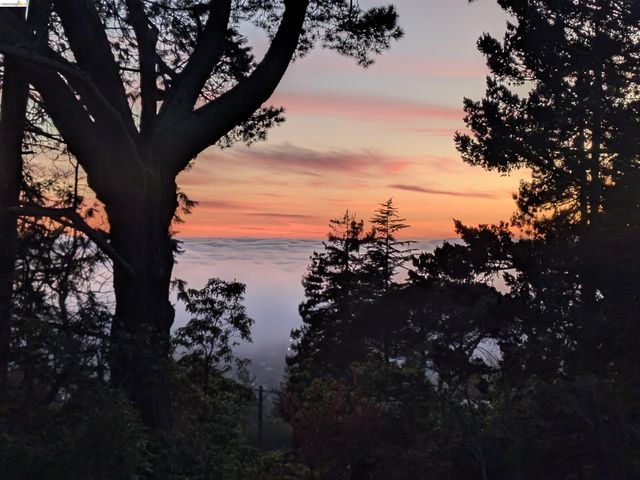 1170 Sterling Ave, Berkeley, CA 94708