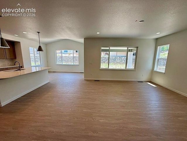 16223 Basset Mill Way, Colorado Springs, CO 80132