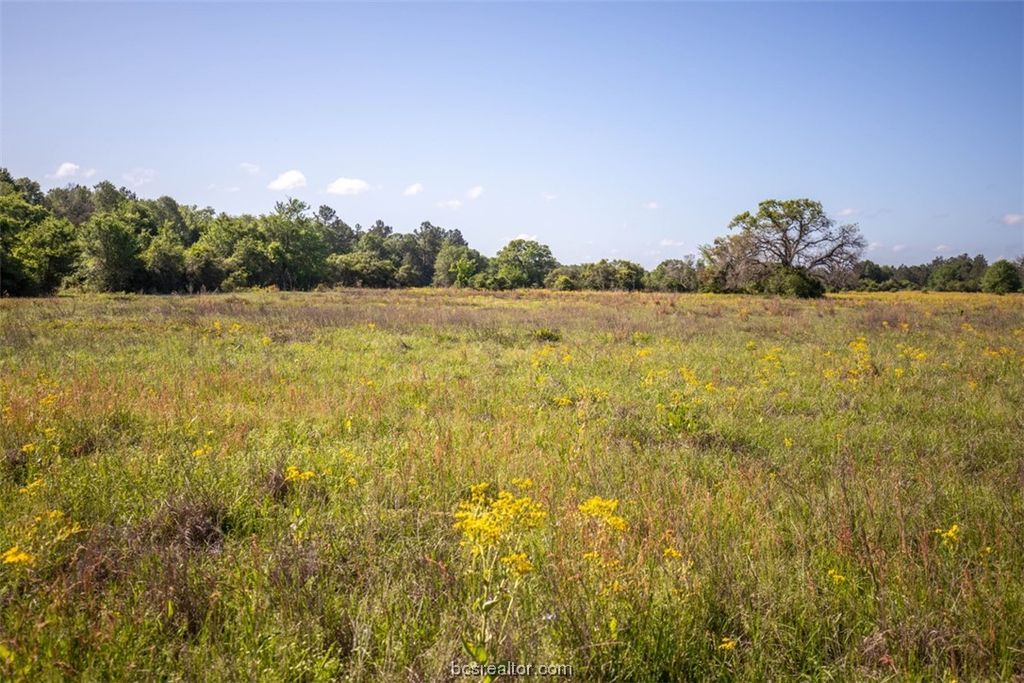 TBD Red Hill Rd, Bedias, TX 77831 — exterior