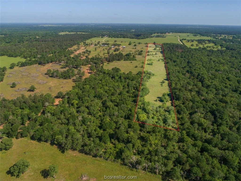 TBD Red Hill Rd, Bedias, TX 77831 — photo 4