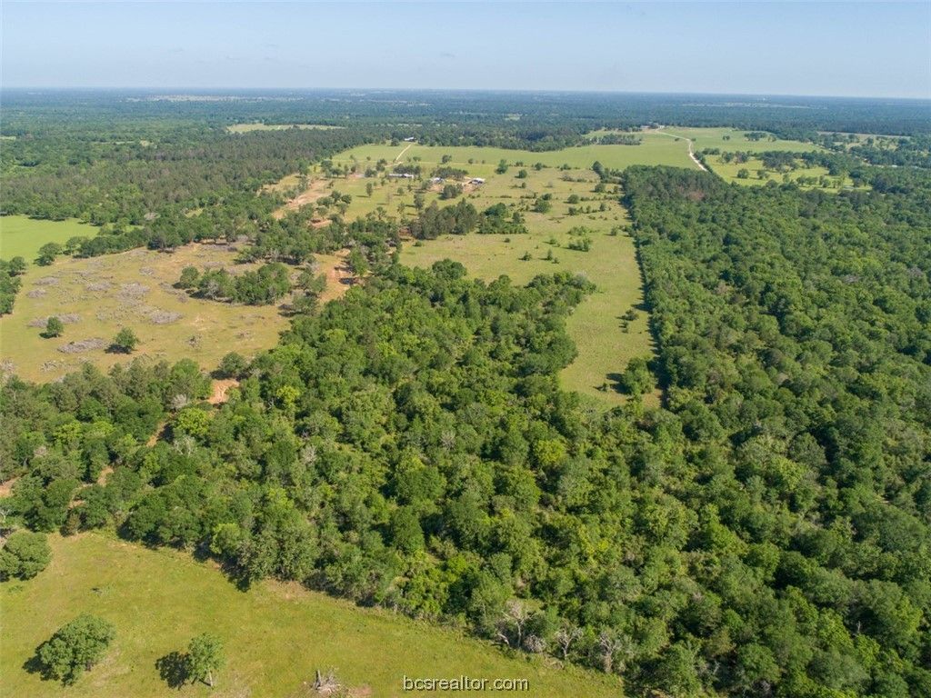 TBD Red Hill Rd, Bedias, TX 77831 — photo 5