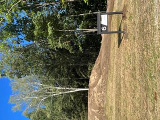 6810 Morrison Hills Court, Dexter, MI 48130