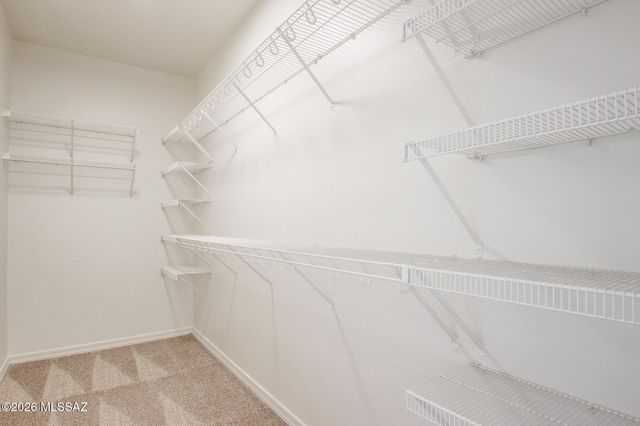 8296 W Razorbill Drive, Tucson, AZ 85757