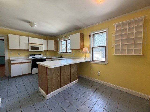 97-99 Cushing Ave, Belmont, MA 02478