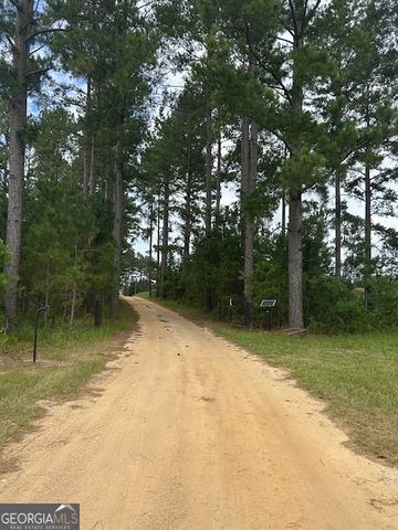 1302 Jim Sapp Road, Claxton, GA 30417