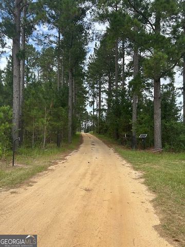 1302 Jim Sapp Road, Claxton, GA 30417