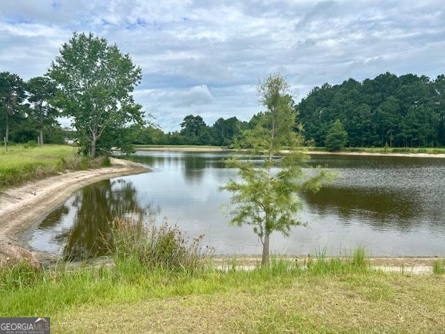 1302 Jim Sapp Road, Claxton, GA 30417