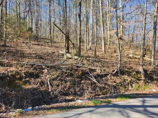 185 Long Hollow Rd Road, New Hope, TN 37380