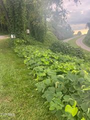 0 Burke Street, Castlewood, VA 24224