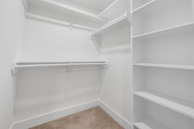 6403 Acorn Forest Drive, Houston, TX 77088