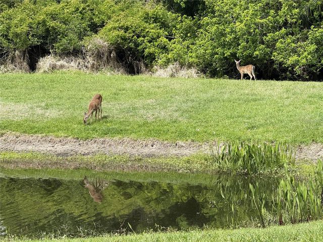 25 RIVERVIEW BEND N 111, Palm Coast, FL 32137