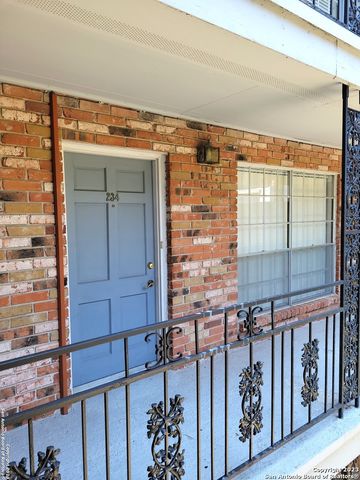 8401 N New Braunfels Ave Apt 234, San Antonio, TX 78209