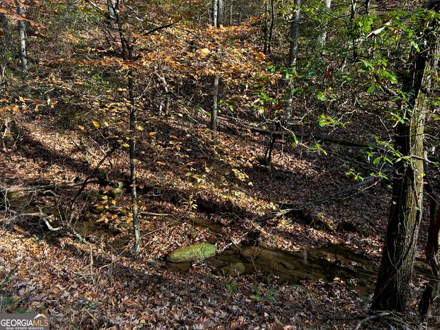 308 Rhododendron Lane, Sautee Nacoochee, GA 30571