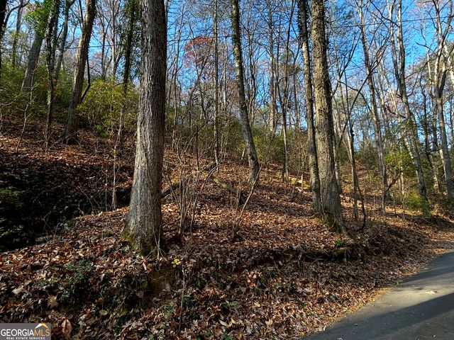 308 Rhododendron Lane, Sautee Nacoochee, GA 30571