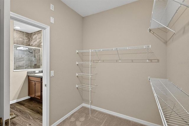45 ZONAL GERANIUM TRAIL, Palm Coast, FL 32164