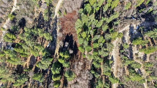 0 Little Bear, Cedar Glen, CA 92321
