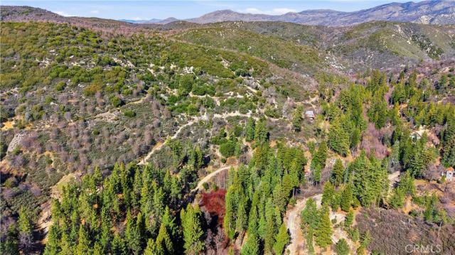 0 Little Bear, Cedar Glen, CA 92321