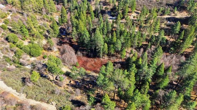 0 Little Bear, Cedar Glen, CA 92321