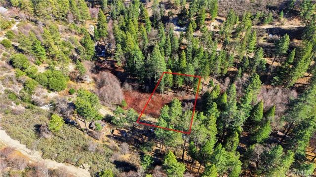 0 Little Bear, Cedar Glen, CA 92321