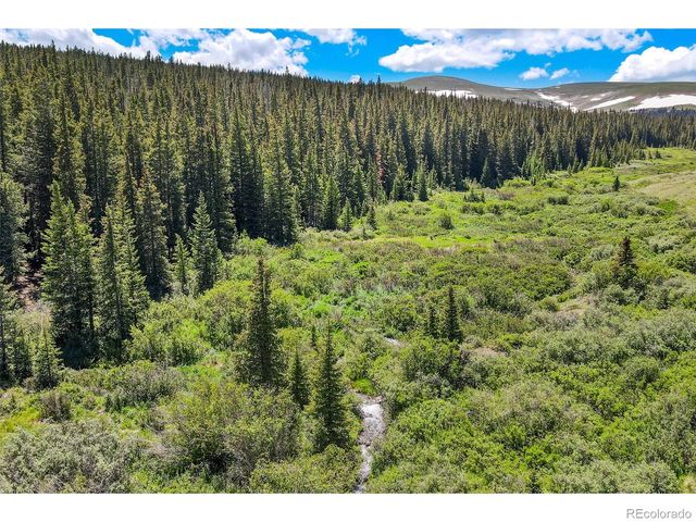 1204 Zebulon Street, Fairplay, CO 80440