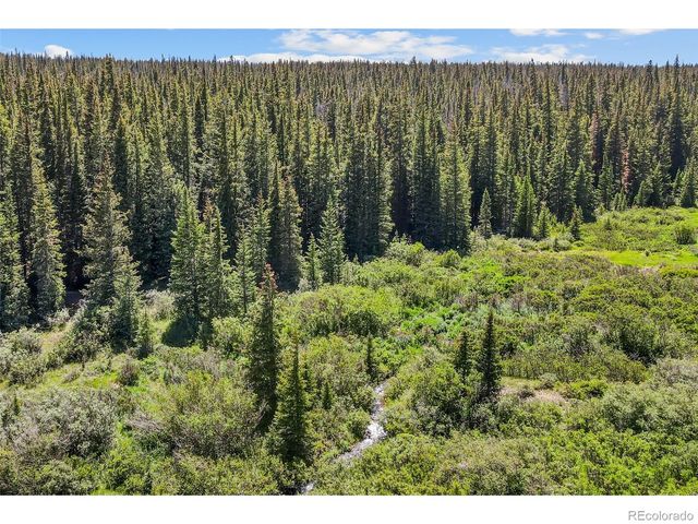 1204 Zebulon Street, Fairplay, CO 80440