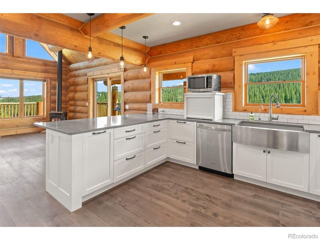 1204 Zebulon Street, Fairplay, CO 80440