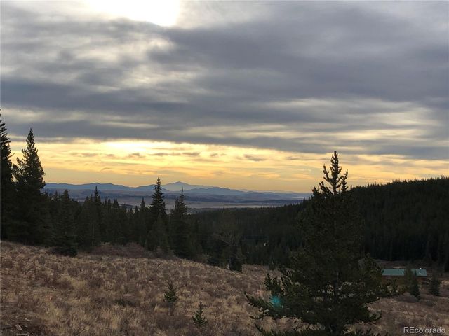 1204 Zebulon Street, Fairplay, CO 80440