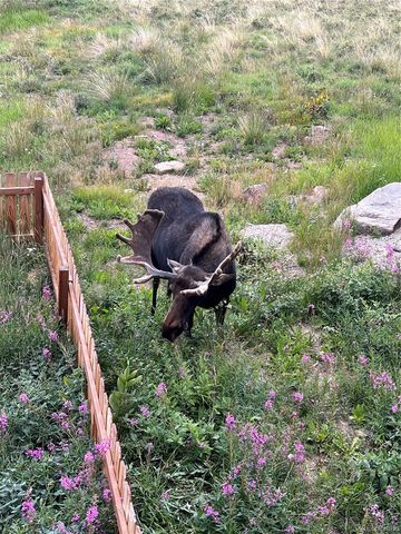 1204 Zebulon Street, Fairplay, CO 80440