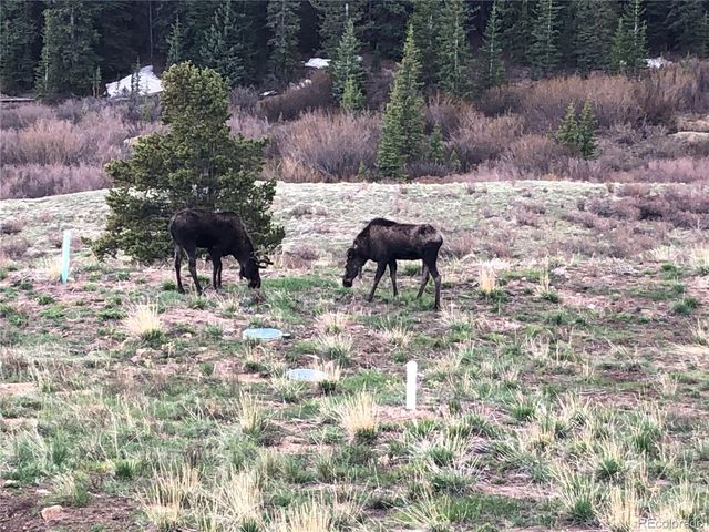 1204 Zebulon Street, Fairplay, CO 80440