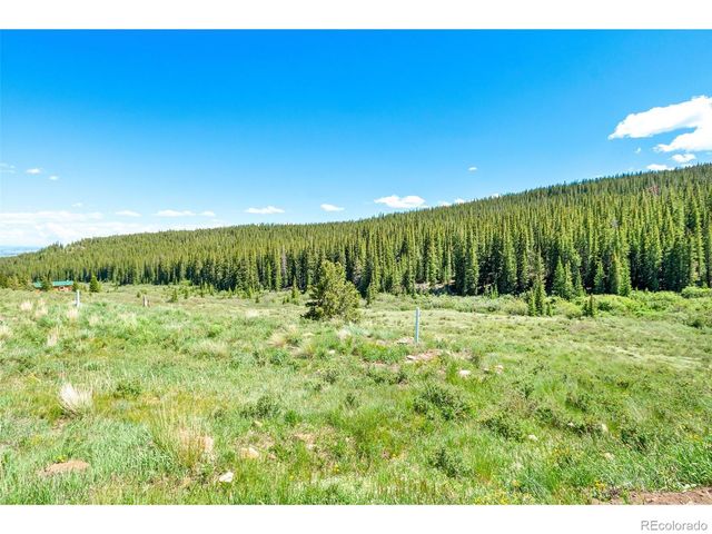 1204 Zebulon Street, Fairplay, CO 80440